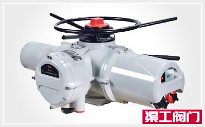 DZW/Z型多回轉(zhuǎn)閥門(mén)電動(dòng)執(zhí)行器 DZW/Z型多回轉(zhuǎn)閥門(mén)電動(dòng)執(zhí)行器