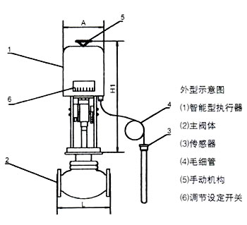 ZZWPE電動(dòng)溫控調(diào)節(jié)閥外形示意圖 ZZWPE電動(dòng)溫控調(diào)節(jié)閥外形示意圖